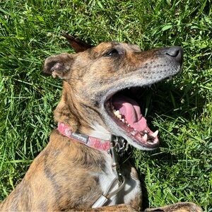 Meet your Posher, Alexandra